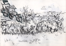 Paysage du côté de Jarnioux